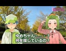 虹の丘ゆめ と イチョウ並木【いいもり魅力発信①】