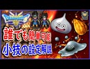 DQ3 HD-2D版 小技 レベル上げ・たね・きのみ集めで作業UPする方法！スイッチ版なら誰でも簡単にできるやり方！ドラクエ3リメイク 攻略【ネタバレあり】【メイルス】