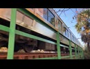JR East Nambu line Shukugawara - Noborito Kanagawa Japan  日本　神奈川　南武線　宿河原〜登戸　E233系8000番台　Dec.2024