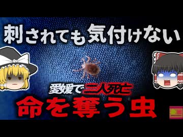 【2024年】「10mmの虫に噛まれ死亡」愛媛県で死亡した男性 致死率約30%の感染症で亡くなってたことが判明 原因は『山に入ったこと』…？マダニ感染症の恐ろしさと対策【ゆっくり解説】