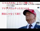 なんだ かなトランプ嫌いなん　アデノクロムやっ たやつらは脱出じゃなくて逃亡 トランプ2.0の下では暮らせない！富裕層、セレブに続いて中間層までアメリカ脱出！