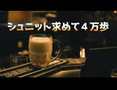【徒歩旅行祭2024】シュニット求めて４万歩【なにこれ】