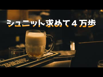 【徒歩旅行祭2024】シュニット求めて４万歩【なにこれ】