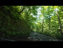 宮城県北から十和田湖方面ドライブ　61　奥入瀬渓流を十和田湖方面へ5　　2024　0615