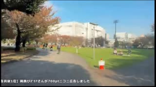 暗黒放送のオープニング（2024年11月下旬）