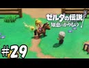 ハイラル牧場【ゼルダの伝説 知恵のかりもの】29