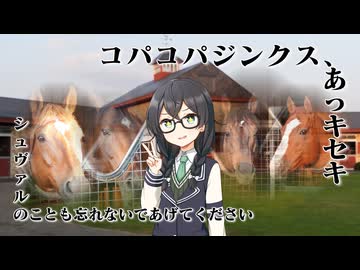 車を使わずバ産地めぐり　一日目（後編）『コパコパジンクスあっキセキ♡　～シュヴァルのことも忘れないであげてください～』
