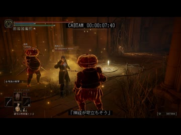 【エルデンリング】ボツカボチャタマネギ Part.18 お蔵入り集