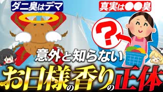 お日様の香りの正体は何か？ダニのニオイなのか？【ゆっくり解説】