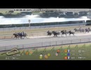 2024 ギャラクシーS (L)　アルファマム　カウントダウンＴＣつき