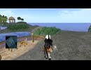 ⚡⚡メタバースの現在2024 SecondLife「幸運諸島→ティーンズ・グリッド・トランスファー・ステーション 18歳になると強制的に飛ばされる喫茶店」　2024年12月4日撮影