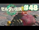 【ぽつぽつ実況 #48】肉【ティアーズオブザキングダム】