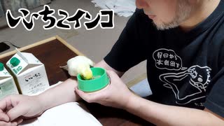 食事を促しながら飼育について語ります・その1（2021年1月4日の様子）