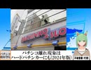 【動画News】パチンコ離れ現象はハードパチンカーにも(2024年版)(2024/12/07)