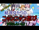 ５分くらいで分かる広告のゲーム＃95　ニャンニャン忍び