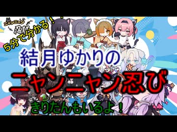 ５分くらいで分かる広告のゲーム＃95　ニャンニャン忍び
