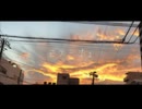 ミラージュ/TOMoL feat. 梵そよぎ