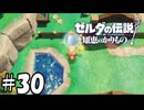 カカリコ村のネッコとコッコ【ゼルダの伝説 知恵のかりもの】30