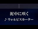 練習用カラオケ♬ 泥中に咲く - ウォルピスカーター 【ガイドメロディ付】 インスト, BGM, 歌詞 ふりがな