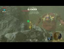 【実況】『ゼルダの伝説 ブレス オブ ザ ワイルド』 Part40