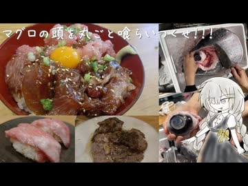 あかりびより～マグロの頭を丸ごと喰らいつくせ！！！～