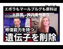24・12・6　エボラもマールブルグも大腸菌で作られた。声無しです。