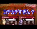 魔導士のくせに物理防御がカッチカチすぎる　ファイアーエムブレムEchoesもうひとりの英雄王Part65