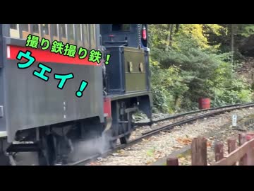 ホモと見る小学生に馬鹿にされる撮り鉄