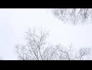 too far to see　/　東北イタコ, 東北きりたん