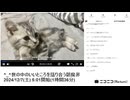 【部分的に 実験機能の左右反転を使用】【ゆのんちゃん】「^_^世の中のいいところを語り合う朝魔界」　①【2024/12/7】【第281回】
