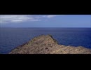 茫洋/滴葉feat.可不