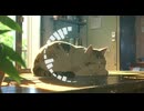 Lo-Fi BGM｜Shadows and loneliness that sway｜揺れる影と孤独