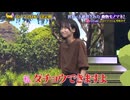 モノマネ動物園