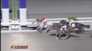 2024年10月14日高知競馬9R A・B混合 レイクリエイター