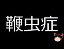 【ゆっくり朗読】ゆっくりさんと不思議な病気 その679