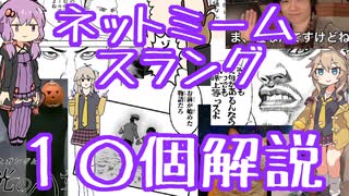 今さら人に聞けないネットのネタ解説その12【結月ゆかり×春日部つむぎ】