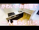 あかりⅡ205　20241207