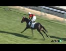 ガンバルマン　2歳未勝利