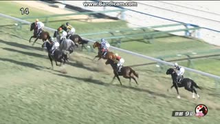2024 エリカ賞 (2歳1勝クラス)　ナグルファル