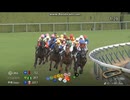 2024 中日新聞杯(GⅢ)　デシエルト