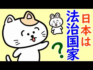 日本は法治国家？私が参政党を支持するワケ。