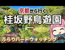 京都から行くドライブスポット！桂坂野鳥遊園【続・京都から行く初心者ドライブスポット #42】
