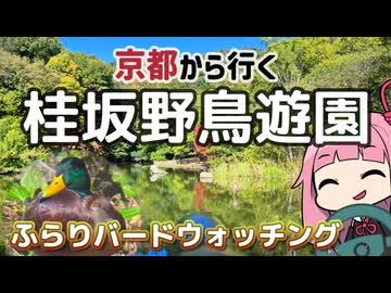 京都から行くドライブスポット！桂坂野鳥遊園【続・京都から行く初心者ドライブスポット #42】