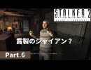 【S.T.A.L.K.E.R.2】まさに路傍のピクニック #6