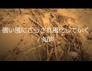 強い風にさらされ風化していく / KATSUOBUSHIMUSHI feat. 知声