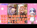 [グラブル]極星レベル5のカトルとウーノを使った結果