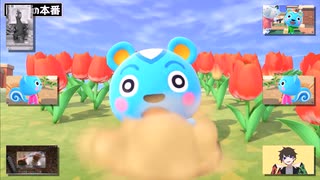どんちゃんとしての才能