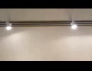 ハイビスタス　メイドカフェ徘徊