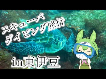 【VOICEVOX旅行】スキューバダイビングin東伊豆