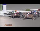 2024年11月9日高知競馬10R 梼原川特別(B-1組) タイキマクスウェル